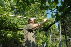 Progetti di agricoltura naturale